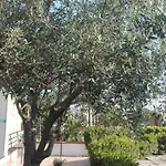 Sweet بيت ضيافة 3*