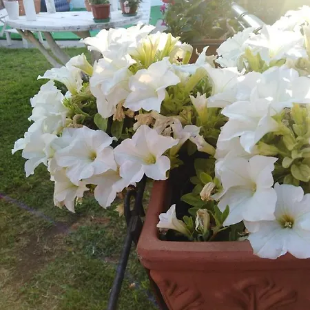 Sweet Konukevi Boscotrecase